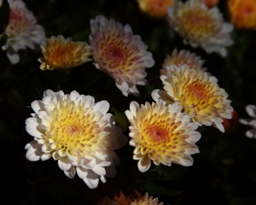2011 10 16 0391e